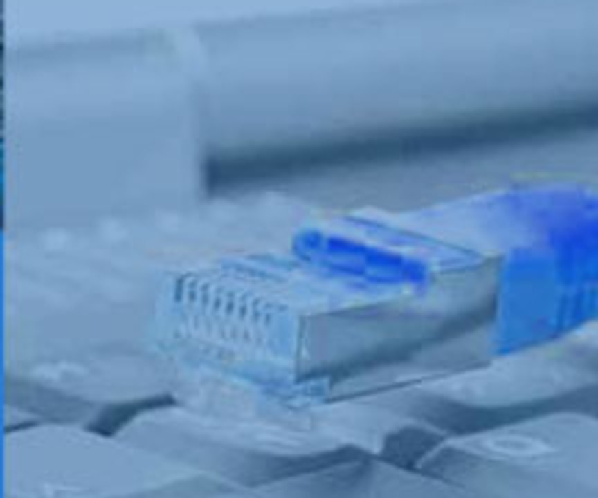 Netzwerkstecker für die EDV-Verkabelung